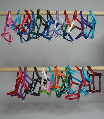 Herd Halters
