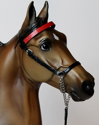Saddlebred Halter 1