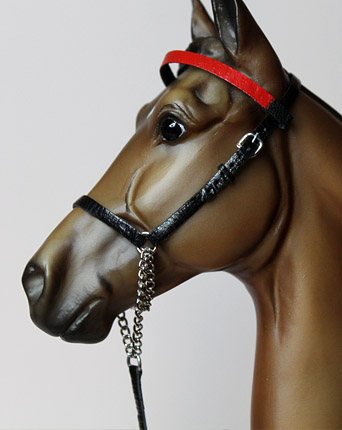 Saddlebred Halter 2