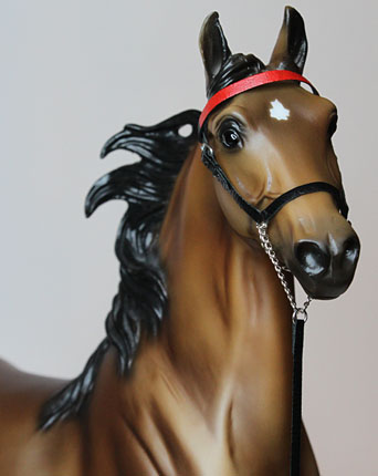 Saddlebred Halter 3
