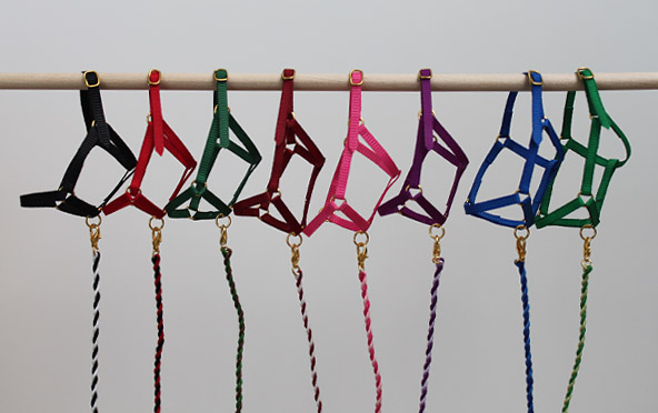 halterorder_0313_Gold