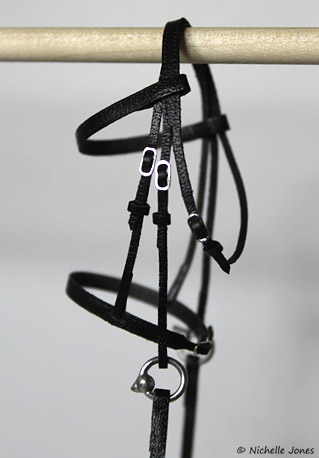 BlackBridle_After