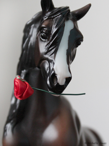 Valentine2014_Bouncer