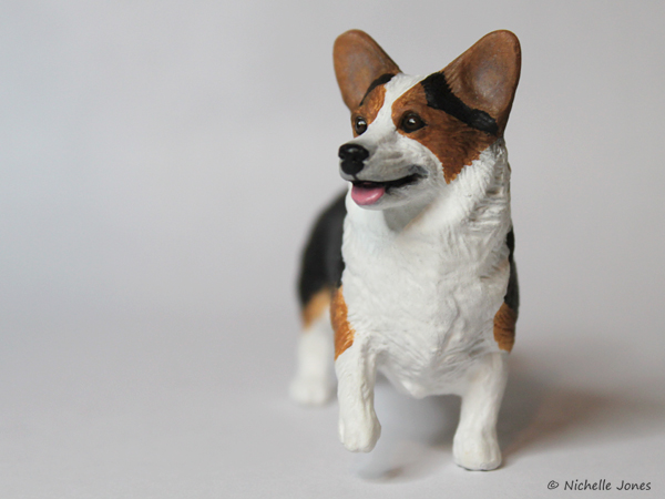 WelshCorgi5