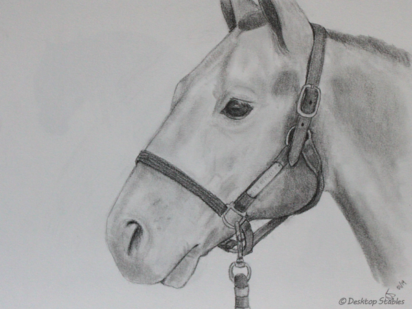 Drawing_HorseHead