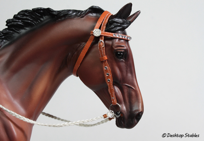 TanBridle03