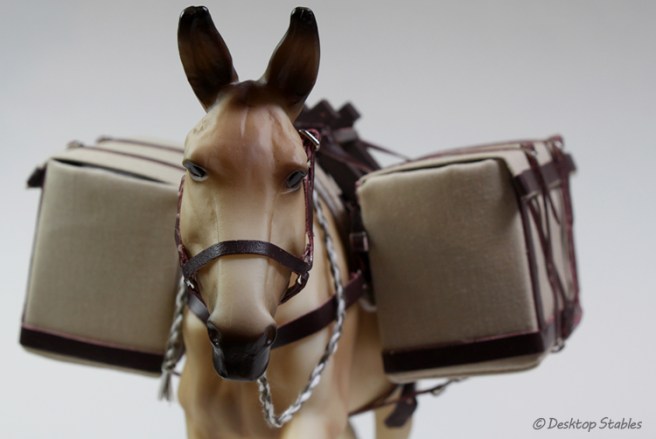 PackSaddle06