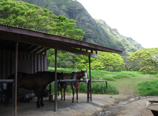 Kualoa01