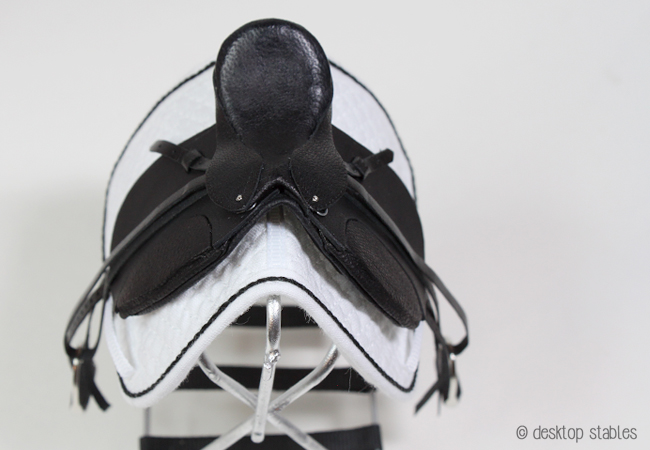 dressageprogress_019