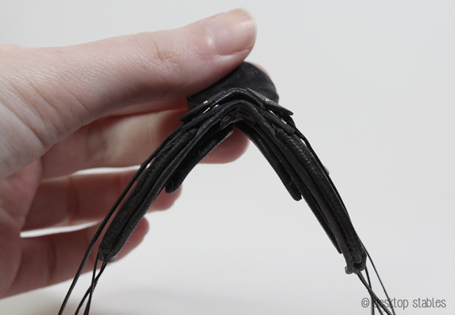 dressageprogress_020