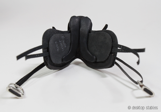 dressageprogress_022