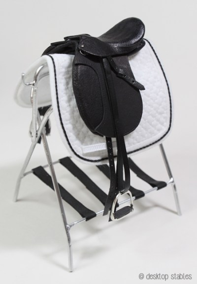 dressageprogress_026